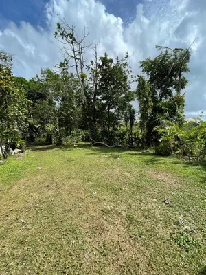 a large grass field with trees in the background at Casa de Campo La Guaria in Guaria