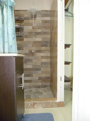 a bathroom with a shower with a wooden wall at Nice private apartment studio to discover CR in Alajuela City