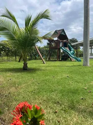 a playground with a palm tree and a slide at Lapa Lodge G1 in Jacó