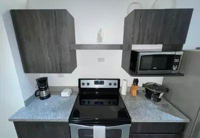 a small kitchen with a stove and a microwave at Lapa Lodge G1 in Jacó