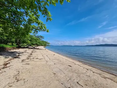 a sandy beach with trees and the water at La Casa del Conde in Playa Naranjo