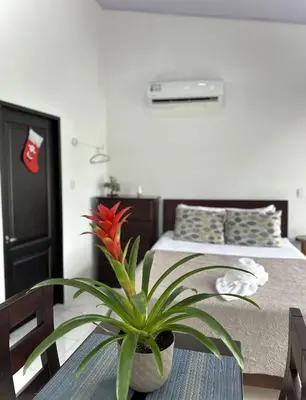a bedroom with a table with a plant on it at Hotel Serendipity in Tortuguero