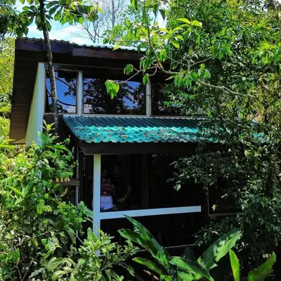 a tree house with a blue roof in the forest at Casa Tucan Glamping in Turrialba