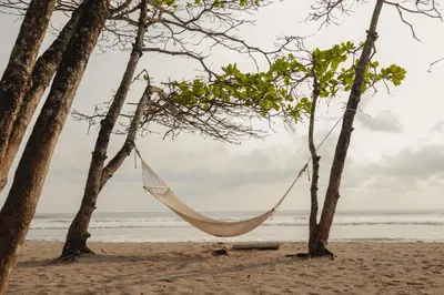 a hammock hanging between two trees on the beach at Blue Mist Hotel- Adults Only in Santa Teresa Beach