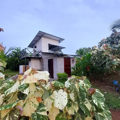Gallery image of Bewak CR in Tortuguero