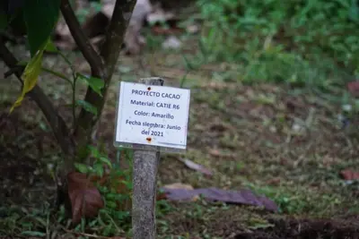 Gallery image of Bewak CR in Tortuguero