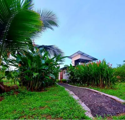 Gallery image of Bewak CR in Tortuguero