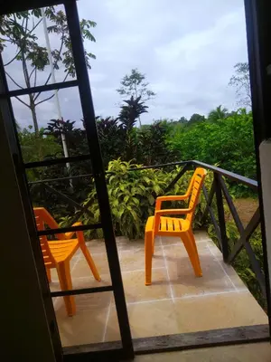 Gallery image of Bewak CR in Tortuguero