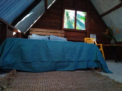 Gallery image of Bewak CR in Tortuguero