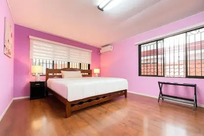 a bedroom with purple walls and a large bed at XIN Bed&Breakfast in San José
