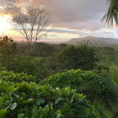 Beautiful estate in quiet surroundings close to beach