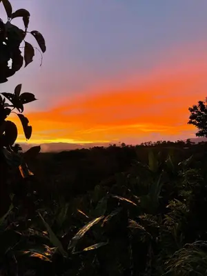 a sunset over a field with trees in the foreground at Terraé Eco-Sanctuary in Santa Elena