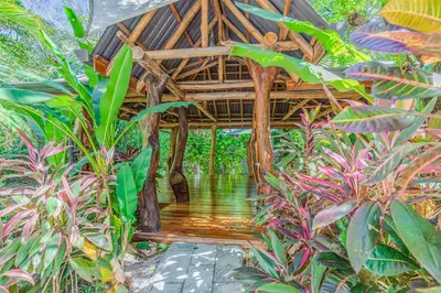 a wooden structure in the middle of some plants at Hotel Guiones in Nosara