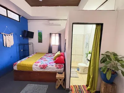 a bedroom with a bed and a mirror at Passifloras Hostel in Quepos