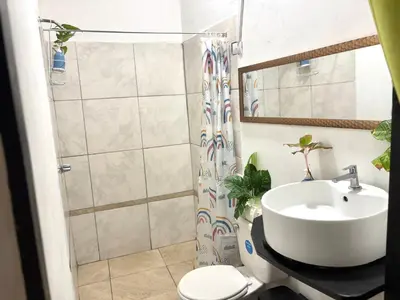 a bathroom with a sink and a toilet and a shower at Passifloras Hostel in Quepos