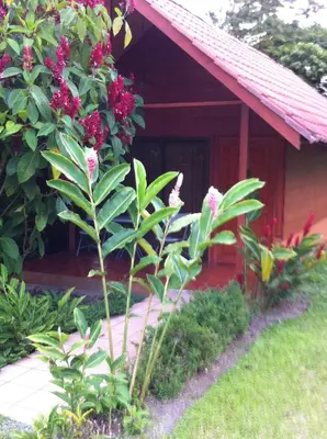 a small house with a red roof and some flowers at Hotel Villas Vista Arenal in Fortuna