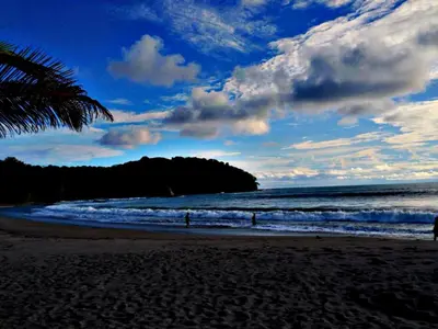 a beach with a palm tree and the ocean at Hotel Esperanza in Carrillo
