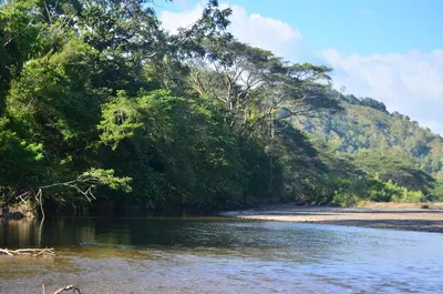 a river with trees on the side of a mountain at Cabina equipada cerca de río y montañas Tulín Azul in Tulín