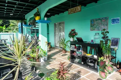 a room filled with lots of potted plants at Argdivan Hostel in Fortuna