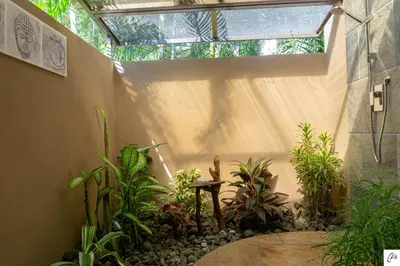 an indoor garden with plants in a greenhouse at Hotel Casa Buenavista - Adults only in Sámara