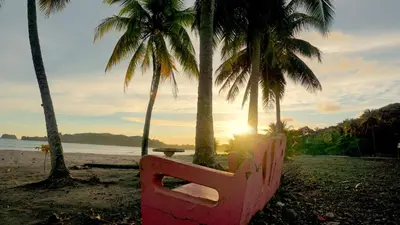a pink bench sitting on a beach with palm trees at Hotel Casa Buenavista - Adults only in Sámara