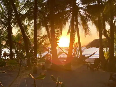 a sunset on a beach with palm trees and a hammock at Fenix Hotel - On the Beach in Sámara