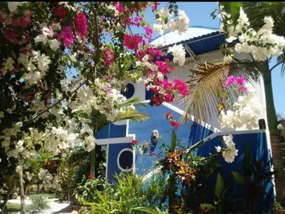 a bunch of flowers in front of a house at Casa Maiana in Sámara