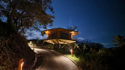 a tree house with lights on the side of a road at Suitree Experience Hotel in Guanacaste