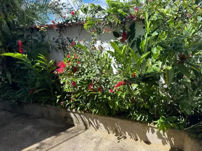 a garden with red flowers and plants on a wall at Hotel Cacts in San José