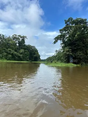 a river with trees on the side of it at Cabinas Tortuguero Natural in Tortuguero