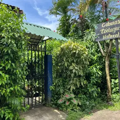 Cabinas Tortuguero Natural