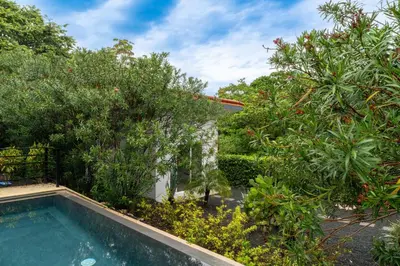 a swimming pool in a garden with trees and bushes at The Haven-Mar Vista 2 Br House With Pool And 1 Br Casita in Brasilito