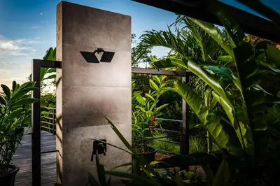 a door in a garden with plants at Casa Vistas At Mar Vista in Brasilito