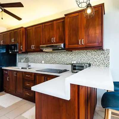 Punta Plata 523- Ocean View Condo