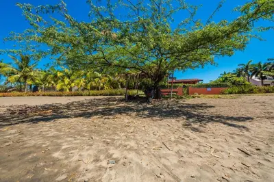 a tree in the middle of a sandy beach at Casa Suenos-Beautiful Beachfront House in Tempate
