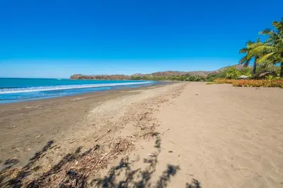 a sandy beach with palm trees and the ocean at Casa Suenos-Beautiful Beachfront House in Tempate