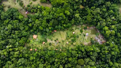 an overhead view of a forest with houses and trees at Eco Lodge&Farm Rustic Roots Reserve in Drake