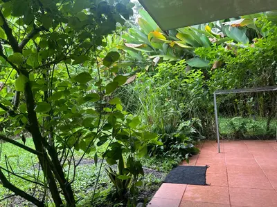 a garden with green plants and a walkway at Granja Agua Azul, Wi-FI,AC-WC,Parking,la Fortuna in Fortuna