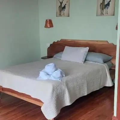 Siary Aparment 2