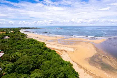 an aerial view of a beach and the ocean at Casa De La Perla, Ocean View 4 Bedroom Home in Tamarindo