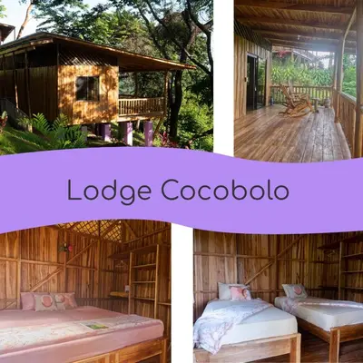 a room in a tree house with two beds at Finca Colibri, vue incroyable sur le Golfe de Nicoya, en Pleine Nature, ferry Playa Najanjo in Cabo Blanco