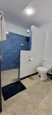 a bathroom with a toilet and a blue wall at Panda House in Quepos