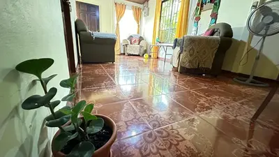 a living room with a couch and plants on the floor at The Corner House - Hospedaje con Encanto en Tortuguero in Tortuguero