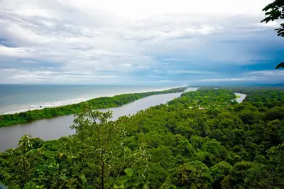 an aerial view of a river with trees and the ocean at The Corner House - Hospedaje con Encanto en Tortuguero in Tortuguero