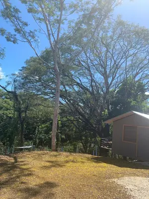 a small shed in a yard with a tree at Cabañas del Bosque in Nandayure