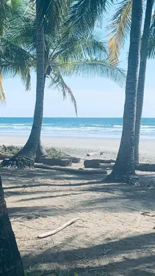 two palm trees on a sandy beach with the ocean at Cabañas del Bosque in Nandayure