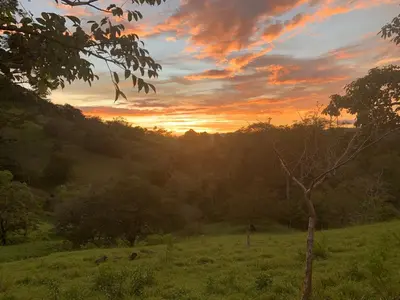 a sunset in a field with a tree in a field at Cabañas del Bosque in Nandayure