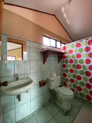 a bathroom with a toilet and a sink at Cabinas Las Palmas del Sol in Fortuna