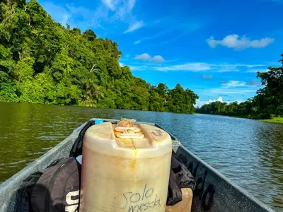 a boat on a river with trees in the background at Departamento 7 Tortuguero in Tortuguero