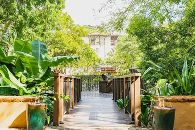 a wooden walkway through a garden with plants at Calle Cartagena 3C At Las Catalinas in Playa Danta